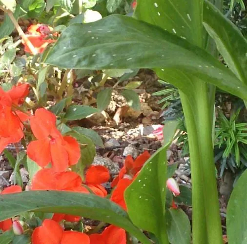 Frühstückspension Et Tables D'hotes 